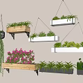 Various Hanging Basket Plants On Wooden And White Shelves For Indoor Decor