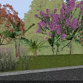 Purple Flowering and Red Leaf Trees in Garden Landscape With Green Shrubs and Banana Plants