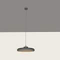 Sleek Modern Pendant Light with Circular Design and Metallic Shade for Interior Decor
