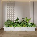 Bonsai Potted Plants in Long White Indoor Planter with Various Green Foliage and Grid Wall