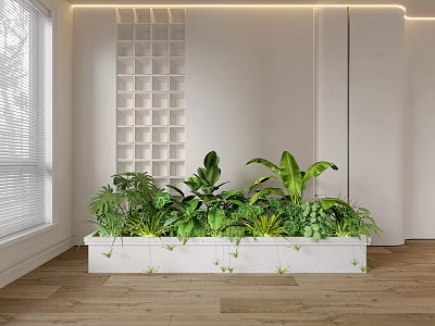 Bonsai Potted Plants in Long White Indoor Planter with Various Green Foliage and Grid Wall 3d model