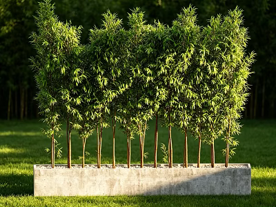 Lush Bamboo Plants Growing In Concrete Planter With Green Grassland And Sunlight 3d model