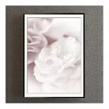 Framed Botanical Plant Painting Featuring Soft White Flower Art For Home Decor