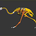 Colorful Dinosaur Animal Skeleton Model With Detailed 3D Rendering Structure 3d model