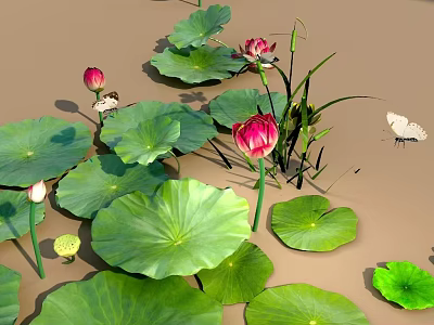 Vibrant Aquatic Plants With Large Green Lotus Leaves And Pink Flowers On Water Surface 3d model