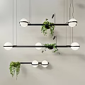 Modern Hanging Lighting Combinations With Black Rectangular Bars White Spherical Bulbs And Green Trailing Plants 3d model