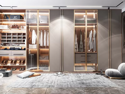 Modern Luxury Closet Interior Design With Glass Doors Metal Frames And Storage Drawers 3d model