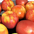 Fresh Juicy Red and Yellow Nectarines Pile Display Healthy Snack