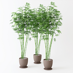 Modern bamboo 3d model