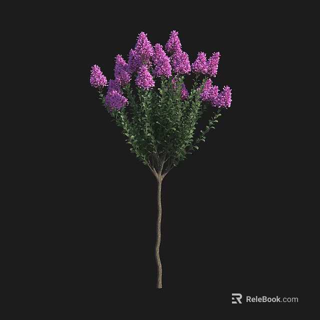 Tree With Purple Flowers Green Leaves And Slender Trunk On Black 3d model 