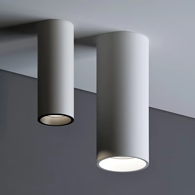 Modern Interior Design With Ceiling Mounted Downlights And Spotlights For Home Lighting 3d model