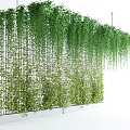Green Hanging Vines Covering Metal Grid Wall For Indoor Decoration With White Base