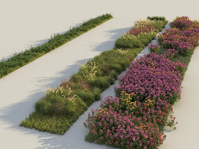 Diverse Colorful Plant Combination Featuring Various Plants Purple Flowers Yellow Blooms And Green Foliage 3d model