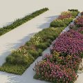 Diverse Colorful Plant Combination Featuring Various Plants Purple Flowers Yellow Blooms And Green Foliage