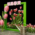 Spring Garden View With Green Frame And Pink Tulips Near Watering Can