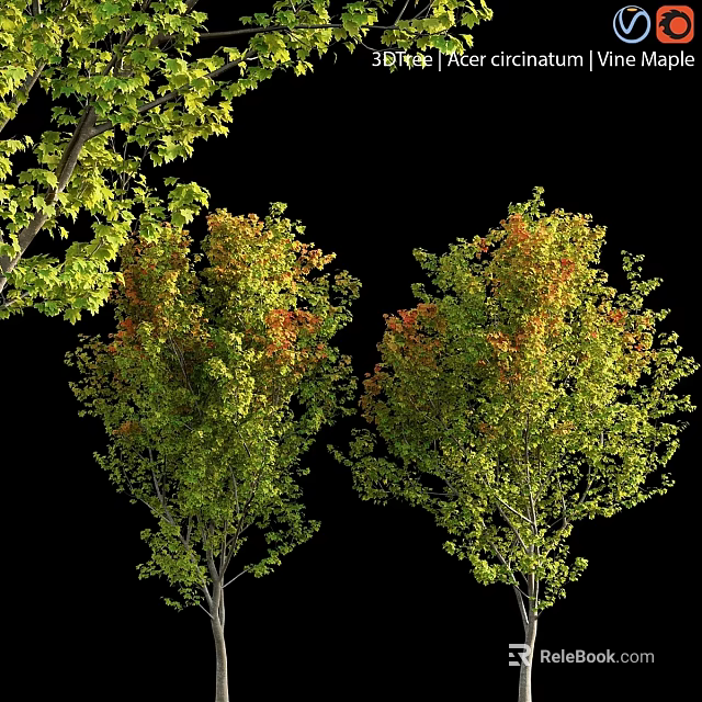 Scenic Garden Decor Features Autumn Trees With Green And Orange Leaves 3d model 
