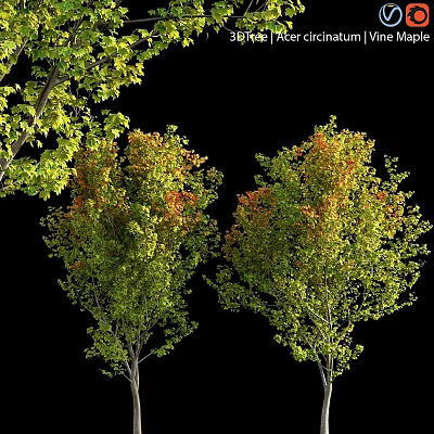 Scenic Garden Decor Features Autumn Trees With Green And Orange Leaves 3d model