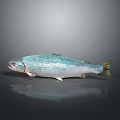 Vibrant Rainbow Trout With Colorful Scales Silver Body And Red Stripe On Dark Reflective Surface