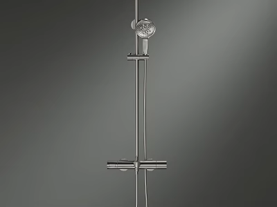 Modern Stainless Steel Shower Head with Handheld Sprayer and Adjustable Rod 3d model