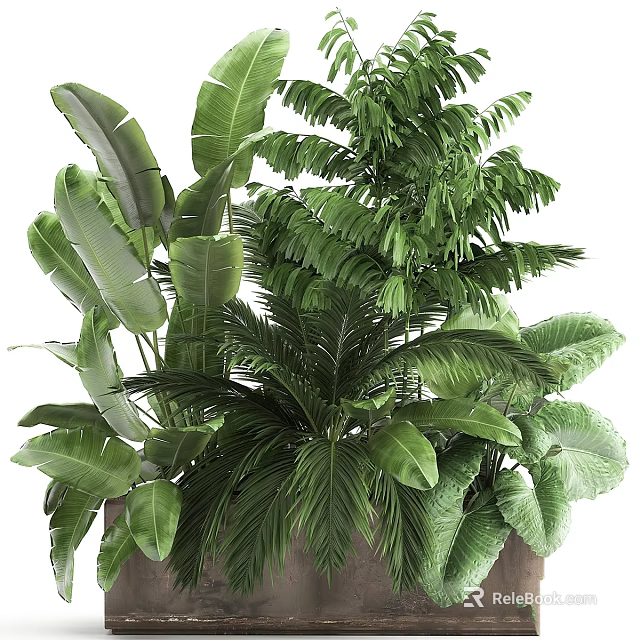 Natural Green Plant Ornament Arrangement With Various Tropical Leaves And Ferns 3d model 