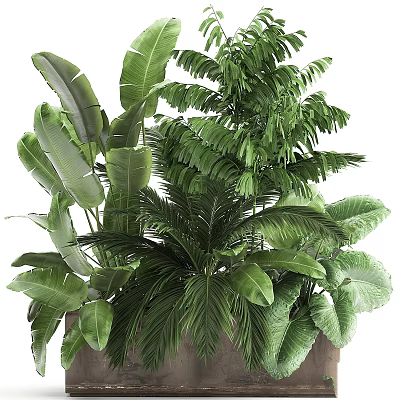 Natural Green Plant Ornament Arrangement With Various Tropical Leaves And Ferns 3d model