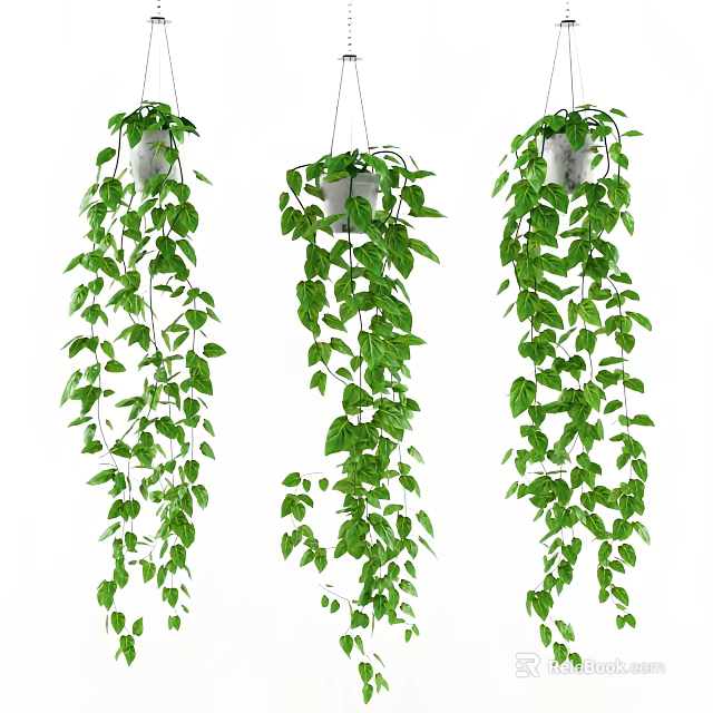 Hanging Basket Green Plants With Trailing Vines And Lush Green Leaves For Home Decor 3d model 