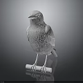 White Bird Statue Standing On Small Roll With Textured Feather Details Against Dark Background