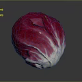 Fresh Radicchio Vegetable With Vibrant Red And White Leaves On Dark Background