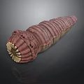 Pink Brown Segmented Prehistoric Creature Model With Radiant Head And Textured Body
