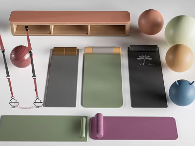 Essential Sports Equipment With Colorful Yoga Mats Exercise Balls And Wooden Storage Rack 3d model