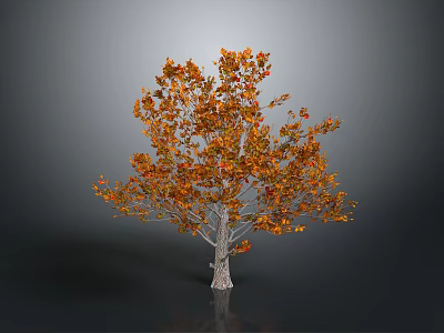 Autumn Tree With Vibrant Orange And Yellow Leaves On Light Colored Trunk 3d model