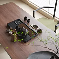 Elegant Modern Tea Set with Black Tray Teapot Cups on Wooden Table and Green Plants