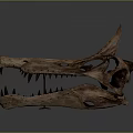 Ancient Dinosaur Skull Fossil With Sharp Teeth And Horn Structure On Dark Background