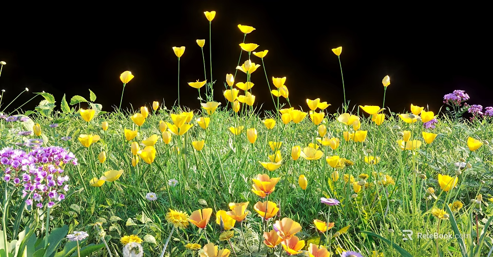 Yellow Flowers And Green Grass Blooming In Natural Garden Scene With Various Petals 3d model 