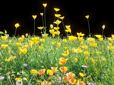 Yellow Flowers And Green Grass Blooming In Natural Garden Scene With Various Petals 3d model