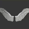Decorative White Feather Wings Ornament Symmetrically Spread With Reflection On Dark Surface 3d model