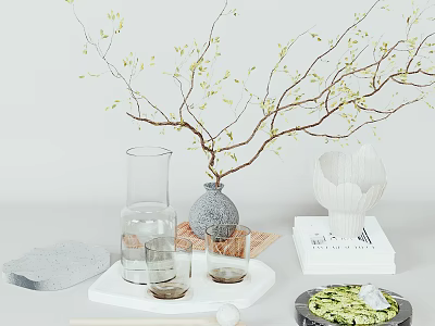 Modern Minimalist Decorative Ornament Set With Branch Vase Carafe Glasses Tray Book And Shell Decor 3d model