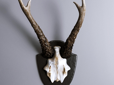 antler wall decoration 3d model