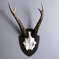 antler wall decoration 3d model