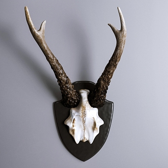 antler wall decoration 3d model