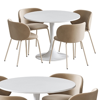 Casual tables and chairs 3d model