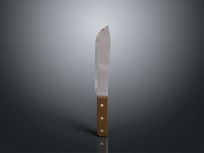 Stainless Steel Household Kitchen Knife With Wooden Handle And Metal Rivets 3d model