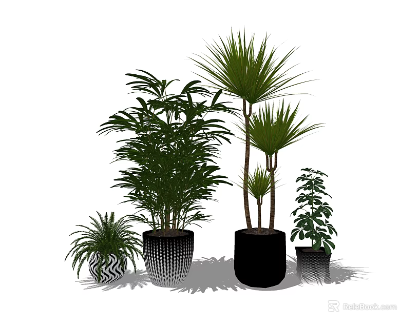 Various Green Potted Bonsai Plants With Different Leaf Shapes And Decorative Pots 3d model 