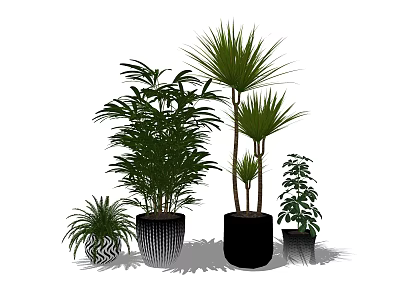 Various Green Potted Bonsai Plants With Different Leaf Shapes And Decorative Pots 3d model