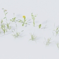 Modern Grass 3d model