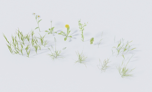 Modern Grass 3d model