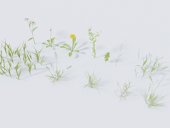 Modern Grass 3d model