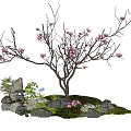 Charming Garden Decor with Pink Flowering Tree Rockery Small Pink Flowers and Green Plants