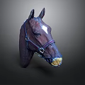 Horse Head with Brown Coat White Forelock and Yellow Nose in Bridle