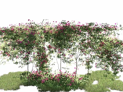 Lush Green Vines Adorned With Pink Flowers On Support Structure Over Grass 3d model